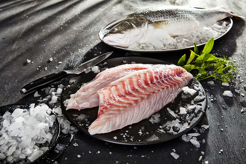 gold coast cookbook product photographer brand focus photography